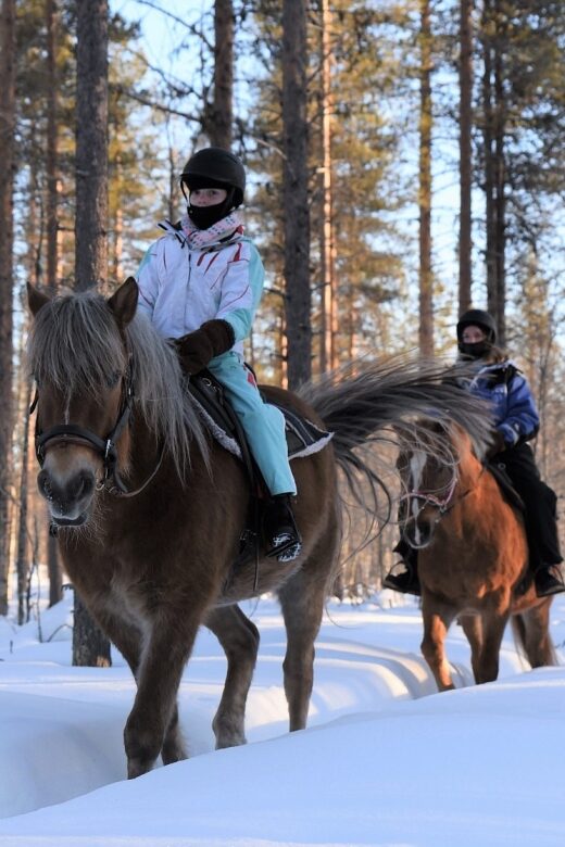 Levi: Snowy Forest Ride and Polar Lights Tours - Cold-weather reality: what to wear so the ride stays fun
