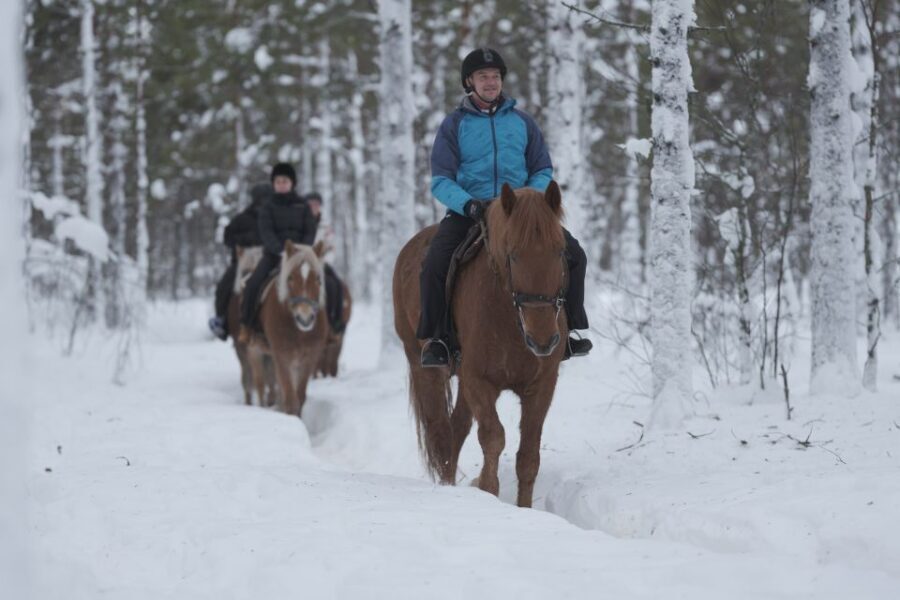 Levi: Snowy Forest Ride and Polar Lights Tours - The ride setup: briefing, helmets, and real confidence