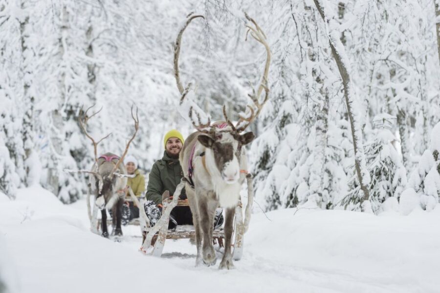 Levi: Winter Highlights Tour with Snowmobiling - Where this Levi tour shines: huskies, reindeer, and a snowmobile safari in one block