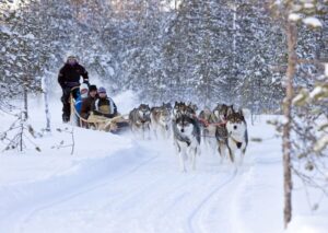 Levi: Winter Highlights Tour with Snowmobiling - Getting picked up and geared up: you’ll feel ready fast