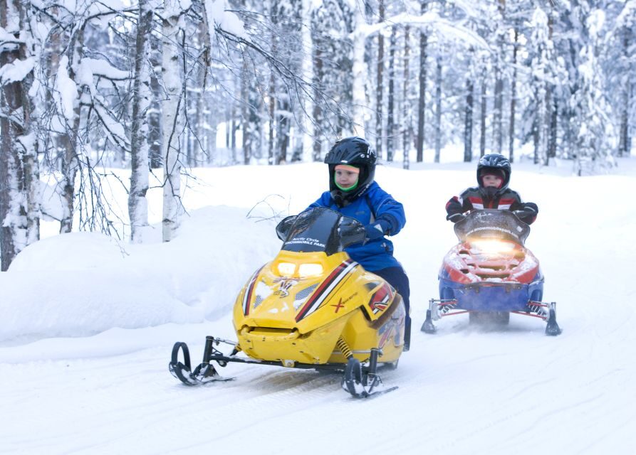Levi: Winter Highlights Tour with Snowmobiling - Husky farm time: learning plus a short sleigh ride