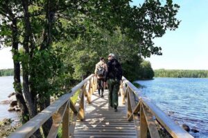 Magical Taiga Forest Hike with Lunch and Transportation - Liesjärvi National Park: a gentle 4.5-hour forest walk with real breathing room