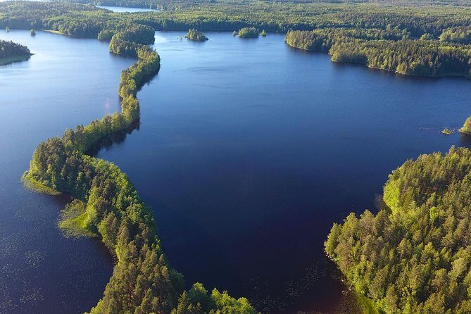 Magical Taiga Forest Hike with Lunch and Transportation - What the guide adds: plants, lichen, birds, mushrooms, and berry talk