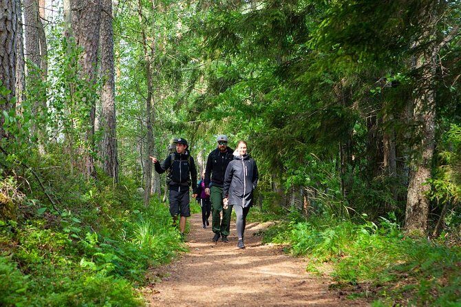 Magical Taiga Forest Hike with Lunch and Transportation - Timing that works: two hike blocks, one long lunch reset, then return to Helsinki