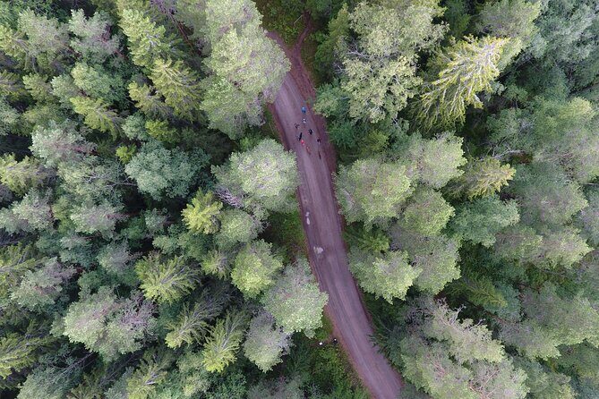 Magical Taiga Forest Hike with Lunch and Transportation - Sustainability in a practical sense: less plastic, more intention