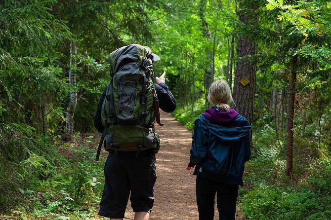 Magical Taiga Forest Hike with Lunch and Transportation - Price and value: what you’re paying for at $187.53