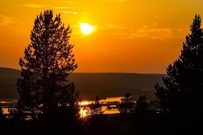 Midnight Sun ATV Ride During the Golden Hour from Rovaniemi - Arctic forest riding in the “white nights” glow