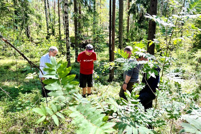 National Park Hike & Finnish Smoke Sauna Experience with Campfire Lunch - Transportation and timing: how this day stays easy to manage