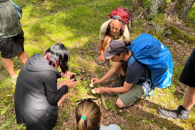 National Park Hike & Finnish Smoke Sauna Experience with Campfire Lunch - Sustainability and the small-group nature effect