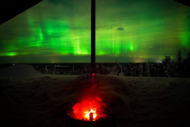 Night Snowshoeing Adventure under the Northern Lights - Rovaniemi After Dark: What This 3-Hour Aurora Snowshoe Really Is