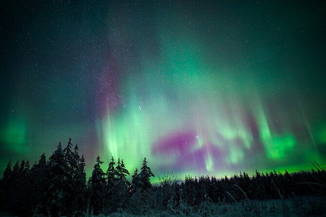 Night Snowshoeing Adventure under the Northern Lights - Group Size, Pace, and Comfort: Why Max 8 Matters