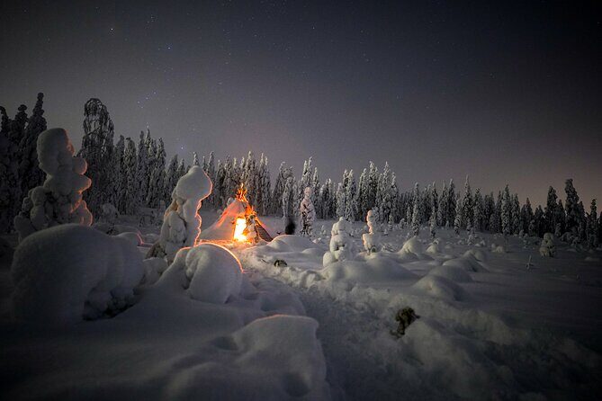 Night Snowshoeing Adventure under the Northern Lights - Who This Tour Suits Best (and Who Should Skip)