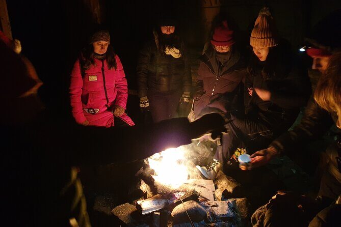 Northern Lights Auroras from Kemi-Tornio with Pickup - Kemi-Tornio at 7:00 pm: what this hunt is really like