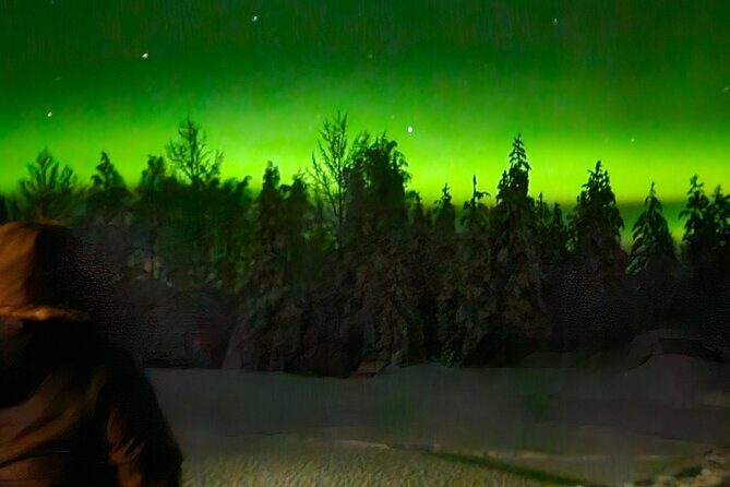 Northern Lights Auroras from Kemi-Tornio with Pickup - Weather rules and cancellations: when the tour changes your plan for you