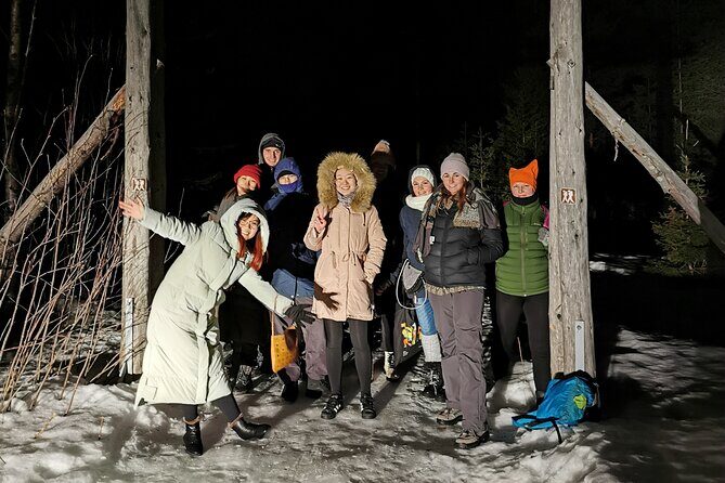 Northern Lights Auroras from Kemi-Tornio with Pickup - Cold reality check: what you should plan for in -22°C conditions