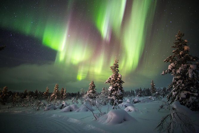 Northern Lights Hunting with Snowmobiles - How Your Guide Hunts the Aurora Using the Forecast