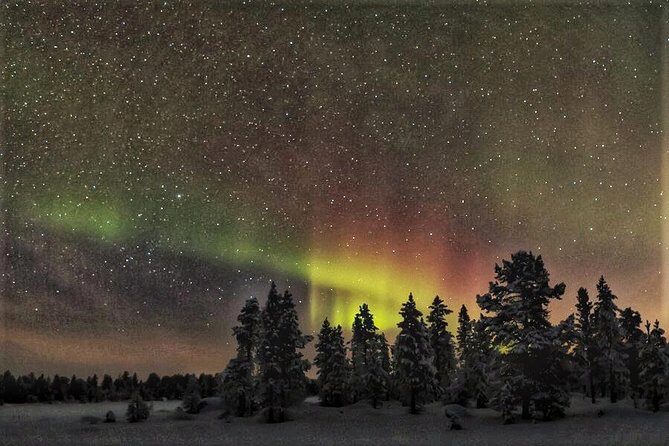 Northern Lights Hunting with Snowmobiles - The Snowmobile Safari: Driving Through Silence, Not Just Snow