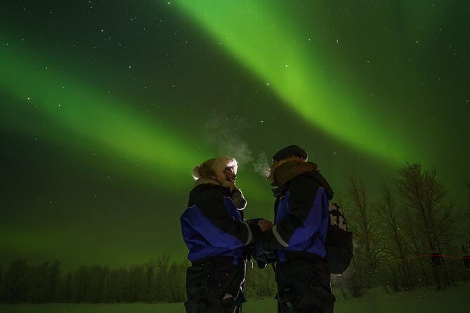 Northern lights tour to Lake Inari from Ivalo, Reindeers & Dinner - The snow-sleigh ride: why the journey is part of the show