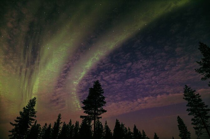 Northern Lights Tour with BBQ and drinks - The campfire part: BBQ-style sausages, hot drinks, and real downtime