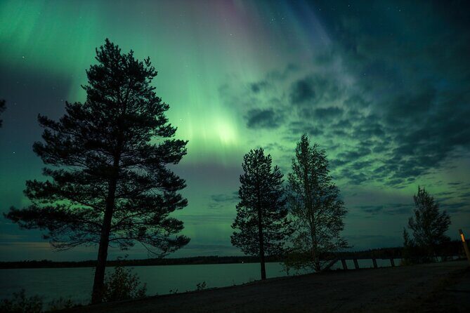 Northern Lights Tour with BBQ and drinks - BBQ comfort on a frozen night: what to expect from the food