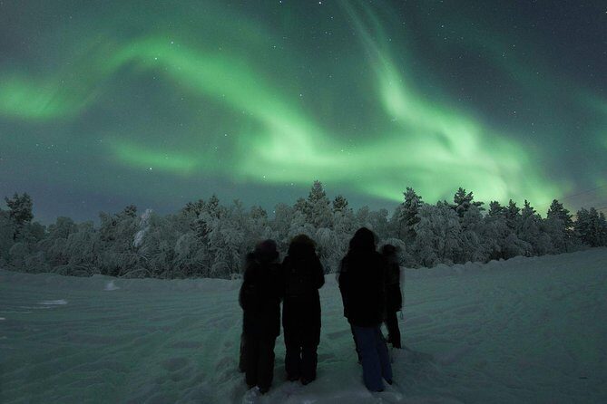 Northern Lights Tour with BBQ and drinks - Reviews in plain English: what people praise most