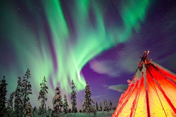 Northern Lights Wilderness Small-Group Tour from Rovaniemi - Key takeaways