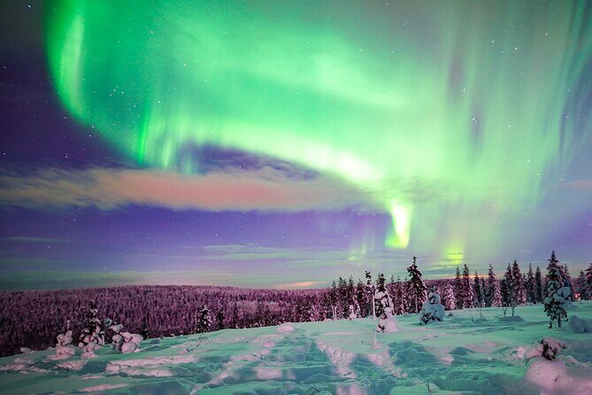Northern Lights Wilderness Small-Group Tour from Rovaniemi - Northern Lights from Rovaniemi, but with an actual plan