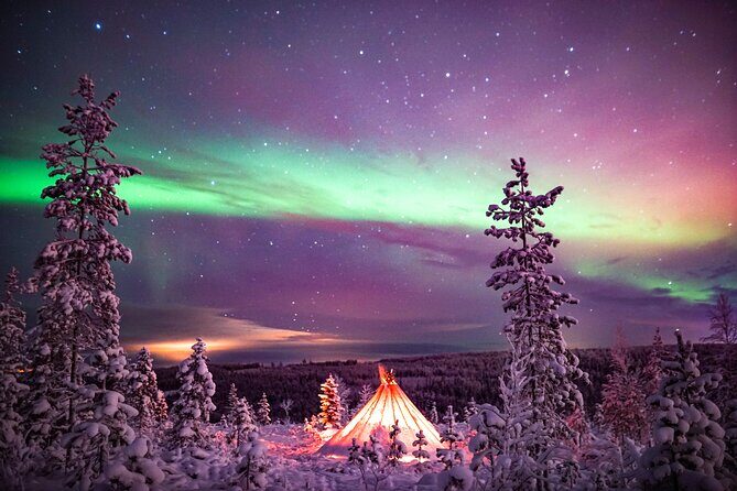 Northern Lights Wilderness Small-Group Tour from Rovaniemi - Seeing the aurora: you’re maximizing chances, not buying certainty