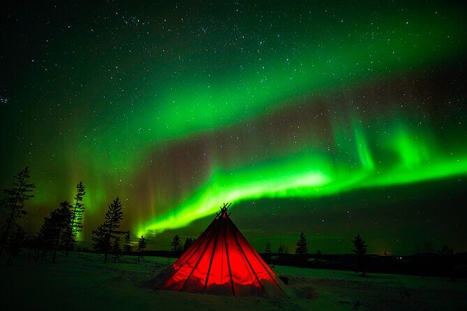 Northern Lights Wilderness Small-Group Tour from Rovaniemi - Dress for Lapland nights, even if they provide gear