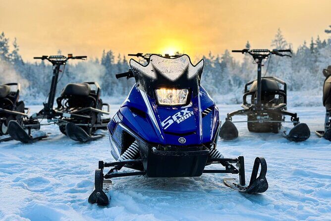 Private Northern Lights Expedition by Lapland's Experienced Team - Who this tour fits best (and who might want to rethink it)