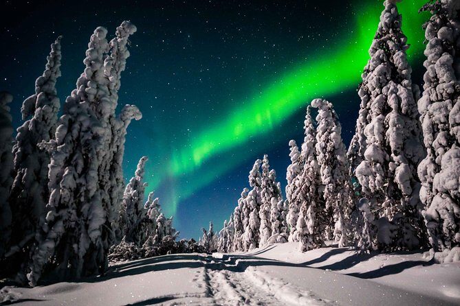 Private Northern Lights photography tour in Rovaniemi - Who this private Northern Lights photography tour is best for