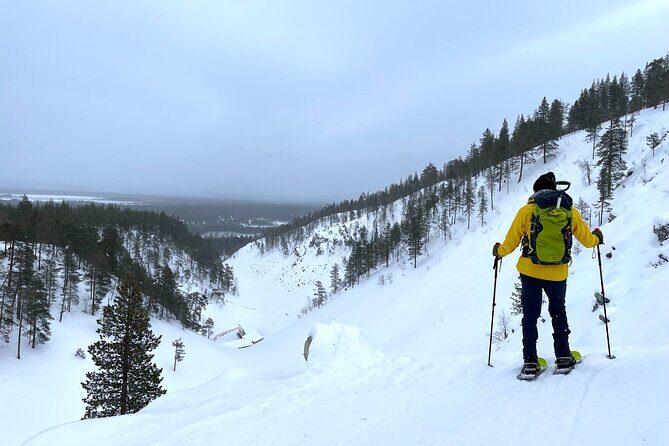 Private Snowshoeing Tour In Pyhätunturi With A Local Guide - Quick takeaways