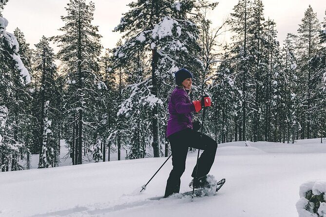 Private Snowshoeing Tour In Pyhätunturi With A Local Guide - Why Pyhätunturi snowshoeing feels worth your time