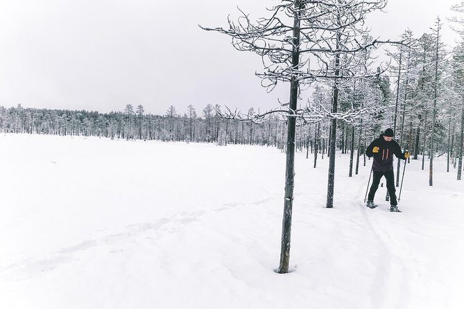 Private Snowshoeing Tour In Pyhätunturi With A Local Guide - Animal tracks with a local guide: more than a stroll