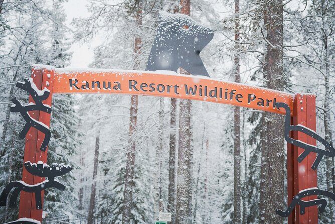 Ranua Wildlife Park Day: Visit the Arctic Animals - At the park: what the guided tour and free time really feel like