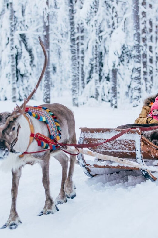Reindeer Farm Visit with Sleigh Ride - Reindeer Farm Basics: Meeting in Rovaniemi (Then Back Again)