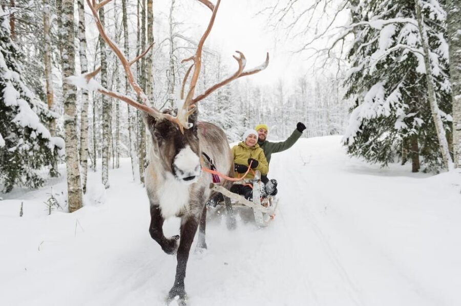 Reindeer Farm Visit with Sleigh Ride - Snacks and Hot Drinks: A Small Comfort That Helps