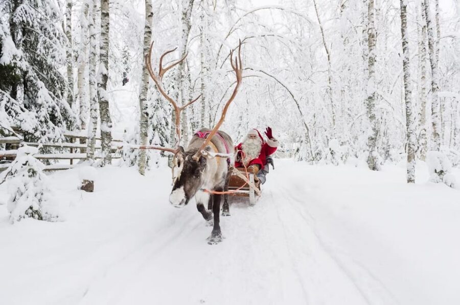 Reindeer Farm Visit with Sleigh Ride - Who This Fits Best (and Who Might Feel Disappointed)