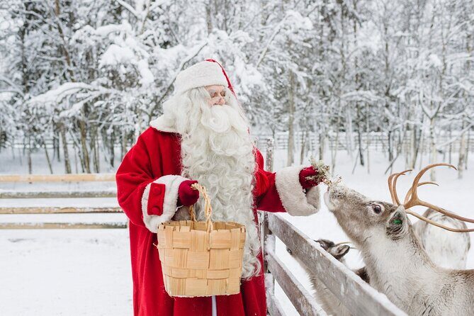 Reindeer Sleigh Ride and Farm Experience from Rovaniemi - Key highlights you should plan around