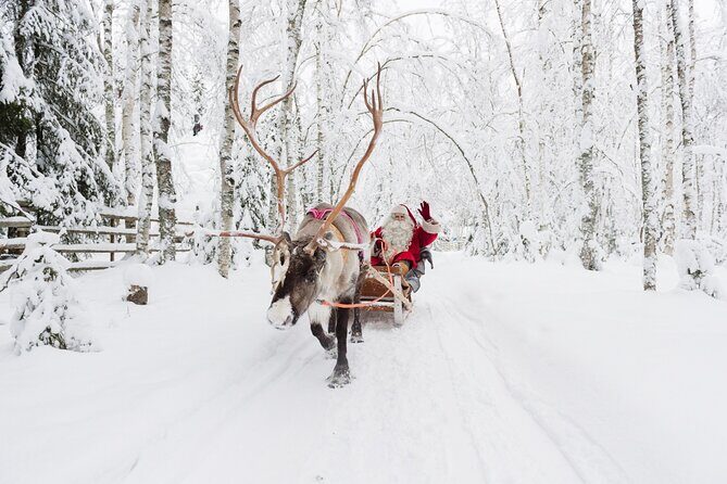 Reindeer Sleigh Ride and Farm Experience from Rovaniemi - Reindeer in Rovaniemi, minus the car stress