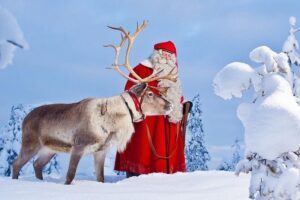 Reindeer Sleigh Ride and Farm Experience from Rovaniemi - Meeting point and timing: know the real start window