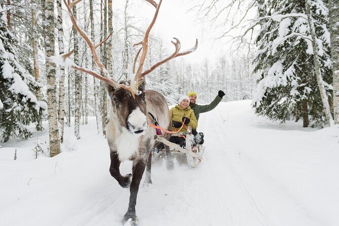 Reindeer Sleigh Ride and Farm Experience from Rovaniemi - Snacks and hot drinks: a small comfort that helps a lot