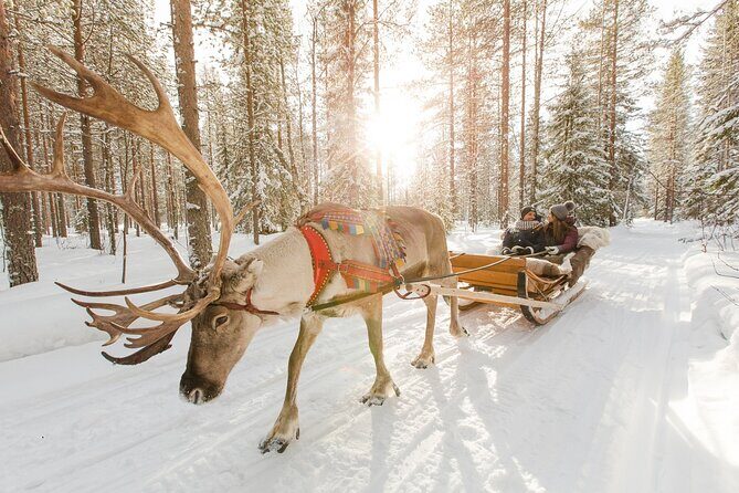 Reindeer Sleigh Ride and Farm Experience from Rovaniemi - Group size and the practical side of winter logistics
