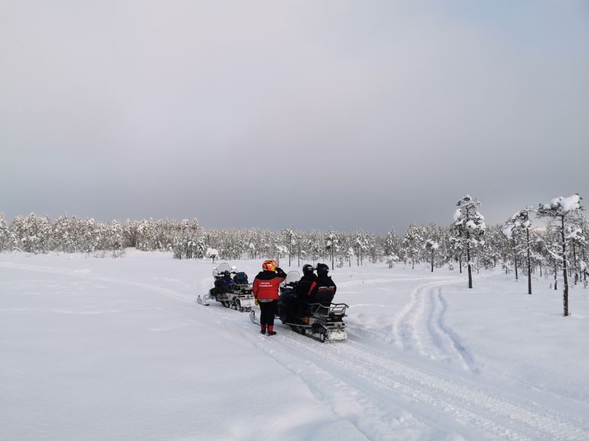 Rovaniemi: 3-Hour Snowmobile Safari in Lapland - Shared Snowmobiles and How Driving Works on This Safari