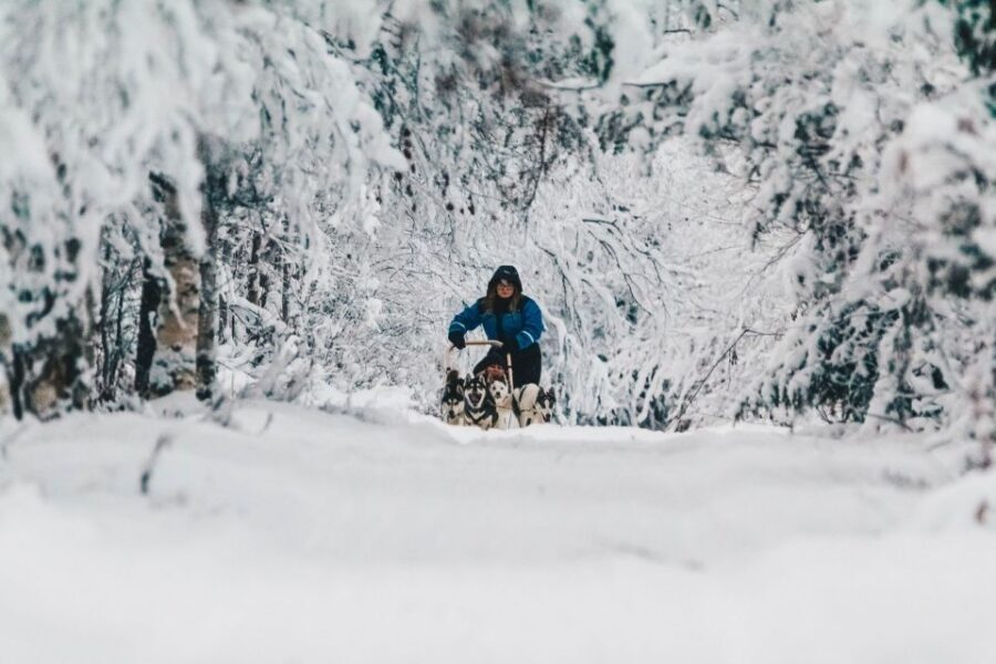 Rovaniemi: Apukka Husky Adventure - Key things to know before you go