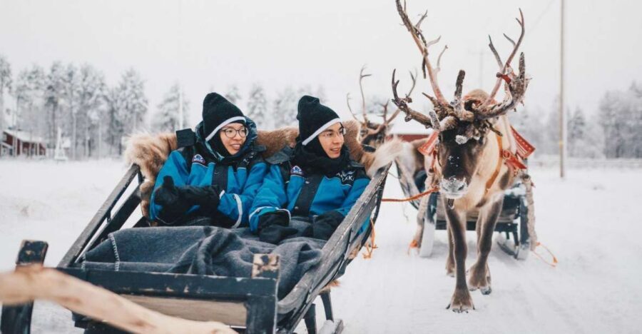Rovaniemi: Apukka Reindeer Journey - Key things that make Apukka’s reindeer journey worth your time