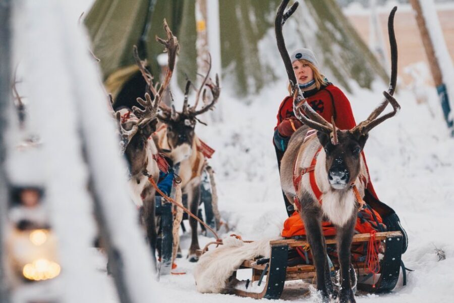 Rovaniemi: Apukka Reindeer Journey - FAQ