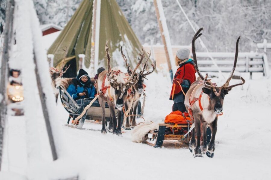 Rovaniemi: Apukka Reindeer Journey - After the ride: fire warmth and reindeer husbandry stories