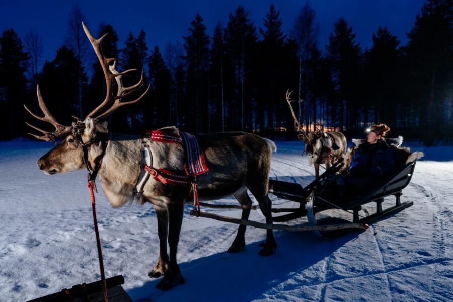 Rovaniemi: Apukka Reindeer Sleigh Ride at Night - Rovaniemi at Night: Why This Reindeer Ride Feels Different