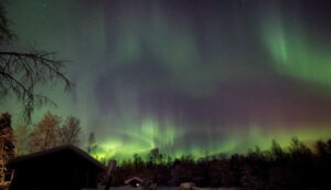 Rovaniemi: Apukka Reindeer Sleigh Ride at Night - The 3-Hour Flow: What Happens From Pickup to Forest Back-Again